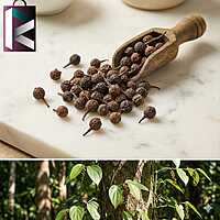KAPURCHINI 10GM