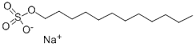Sodium Lauryl Sulphate (SDS, SLS) 25gm for Molecular Biology, 99% SRL