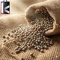 BAJRI LOOSE(PER KG)