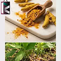 KHADI HALDI LOOSE(PER KG)