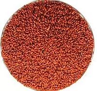 AALIV LOOSE(PER KG)