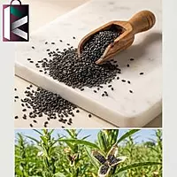 BLACK TILLI 1KG