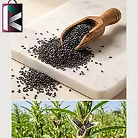 BLACK TILLI 50GM