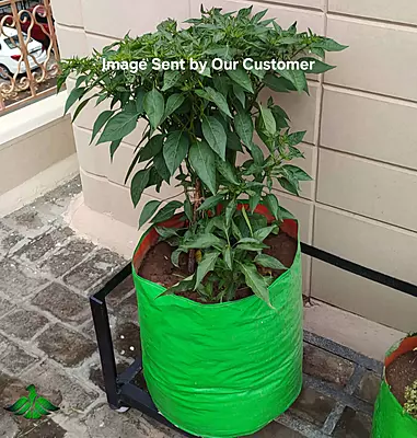 Fruits HDPE Grow Bag Multipurpose Plant