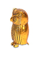 Owl Hollow Gold Owl Hollow Gold