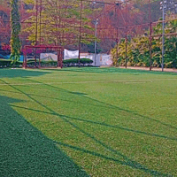 Dream Sports Fields