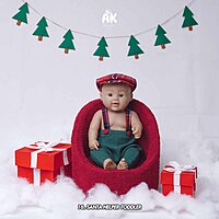 Studio Package (50 Themes)