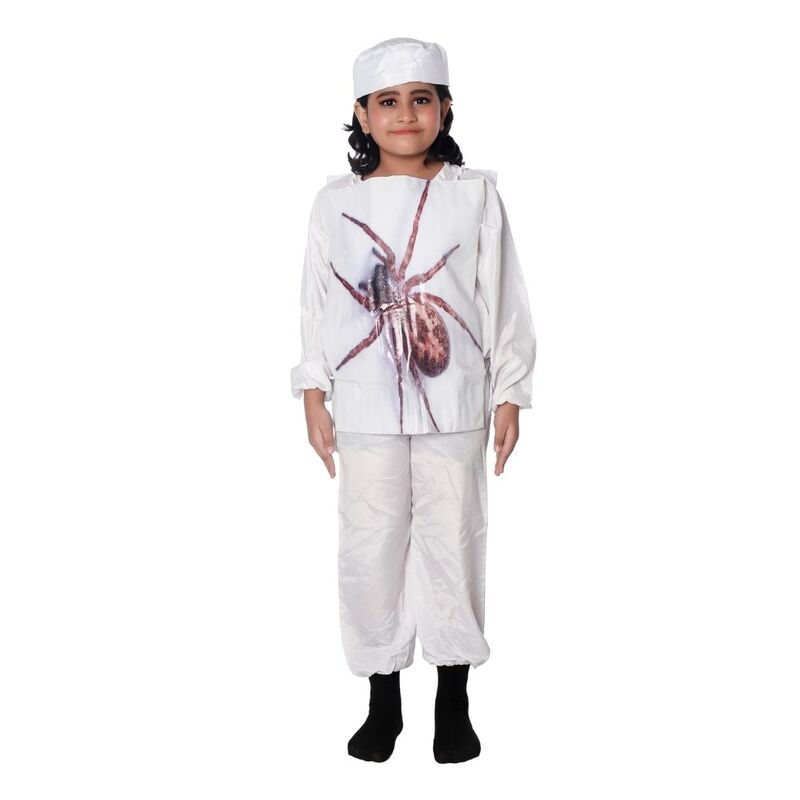Spider Fancy Dress Costume