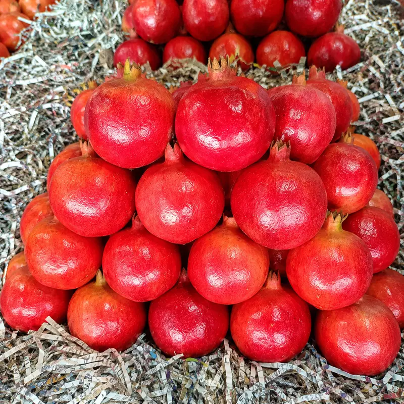 Anar | 16 Dana | Premium Quality