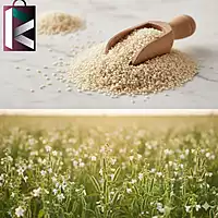 TILLI POLISH LOOSE(PER KG)