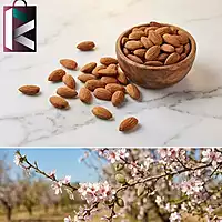 BADAM 500GM