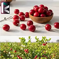 CHERRY TOOTYFRUITY 1KG