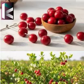 CHERRY ROUND 1KG