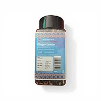 PANKHUDI GINGER L EMON CONTAINER 100GM