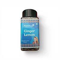 PANKHUDI GINGER L EMON CONTAINER 100GM