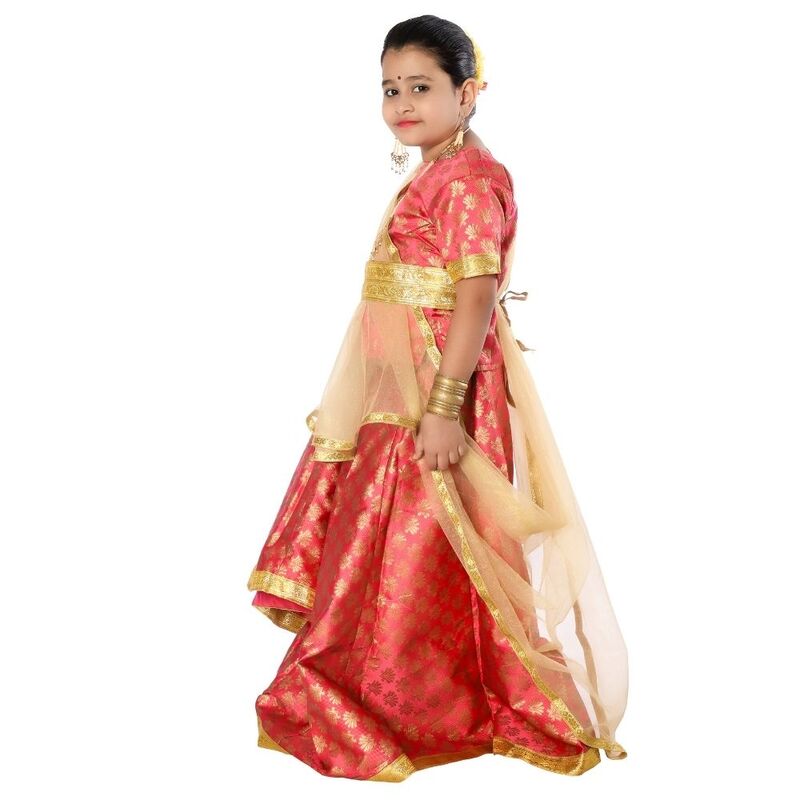 Kathak Dance Dress Costume Gajri & Golden Kathak Dance Dress Costume Gajri & Golden