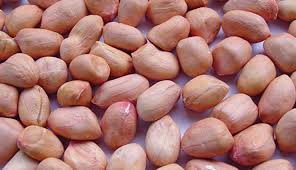 SHENGDANA 500GM