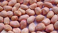 SHENGDANA 500GM