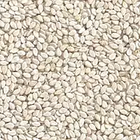 TILLI 500GM