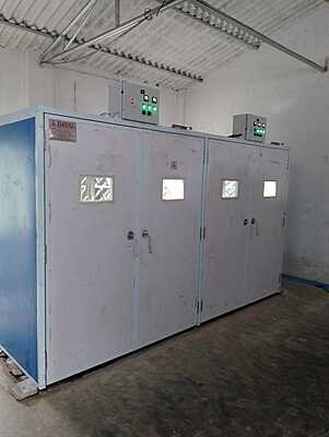 Egg Setter 34,272 (IS-34)