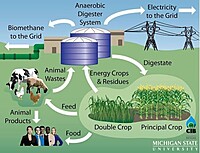 Biomass-to-Bioenergy Conversion Service