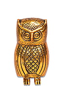 Owl Hollow Gold Owl Hollow Gold