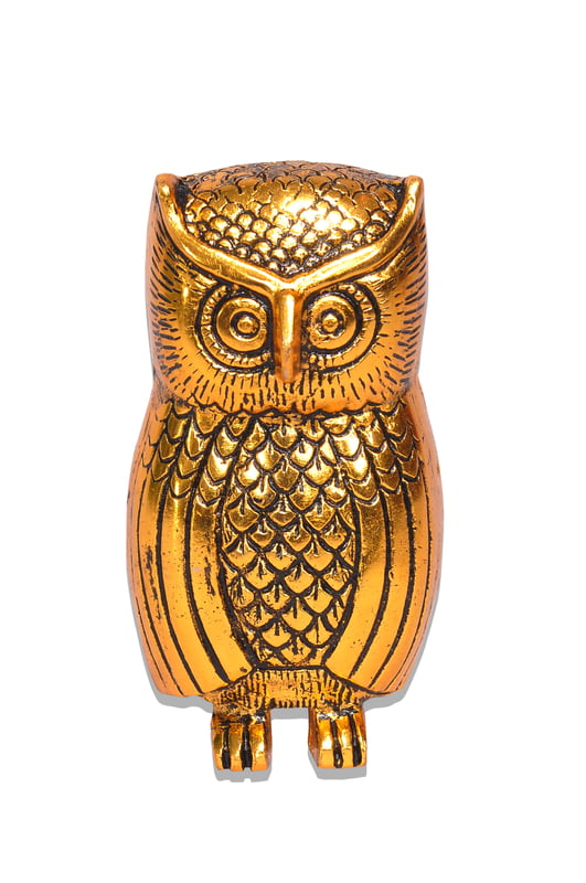 Owl Hollow Gold Owl Hollow Gold