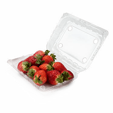 Clamshell Punnets - PNG 400 / 40