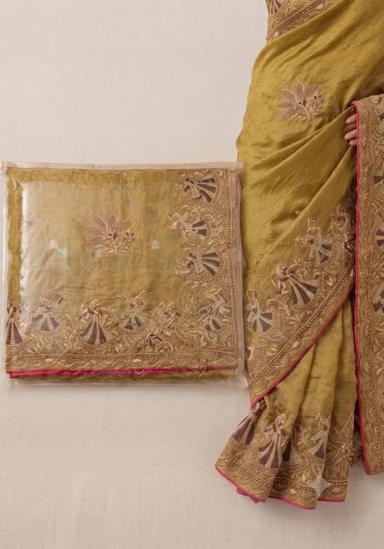 Emb Work Saree DN. 17527-SAR