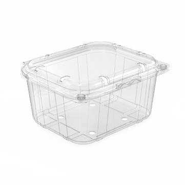 Clamshell Punnets - PNG 401 / 75