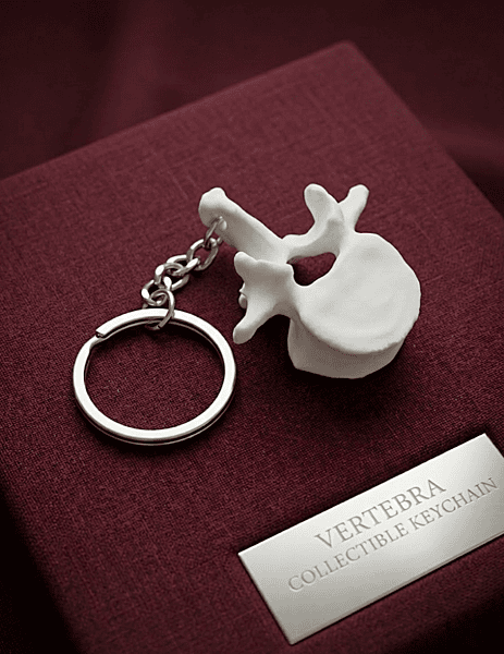 Vertebra keychain