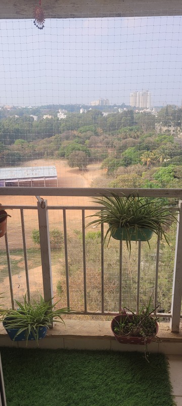 Busy Bee's Quiet Cocoon Narayanapura Bangalore