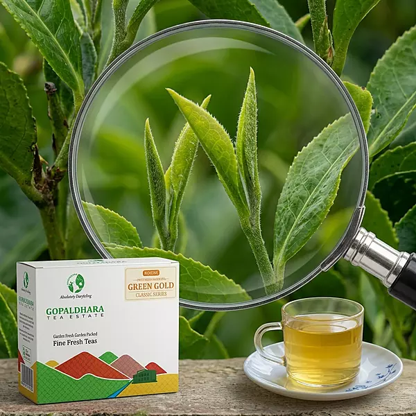 Gopaldhara Green Gold Classic Series (First Flush Green Tea)