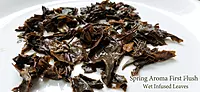 Gopaldhara Spring Aroma First Flush Black Tea