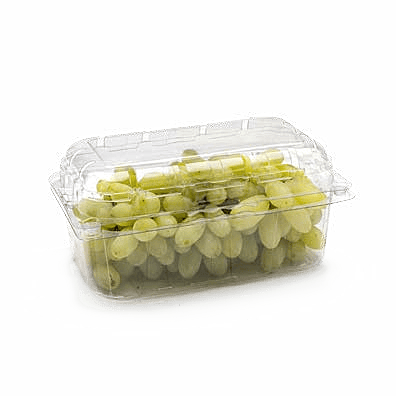 Clamshell Punnets - PNG 501 / 90
