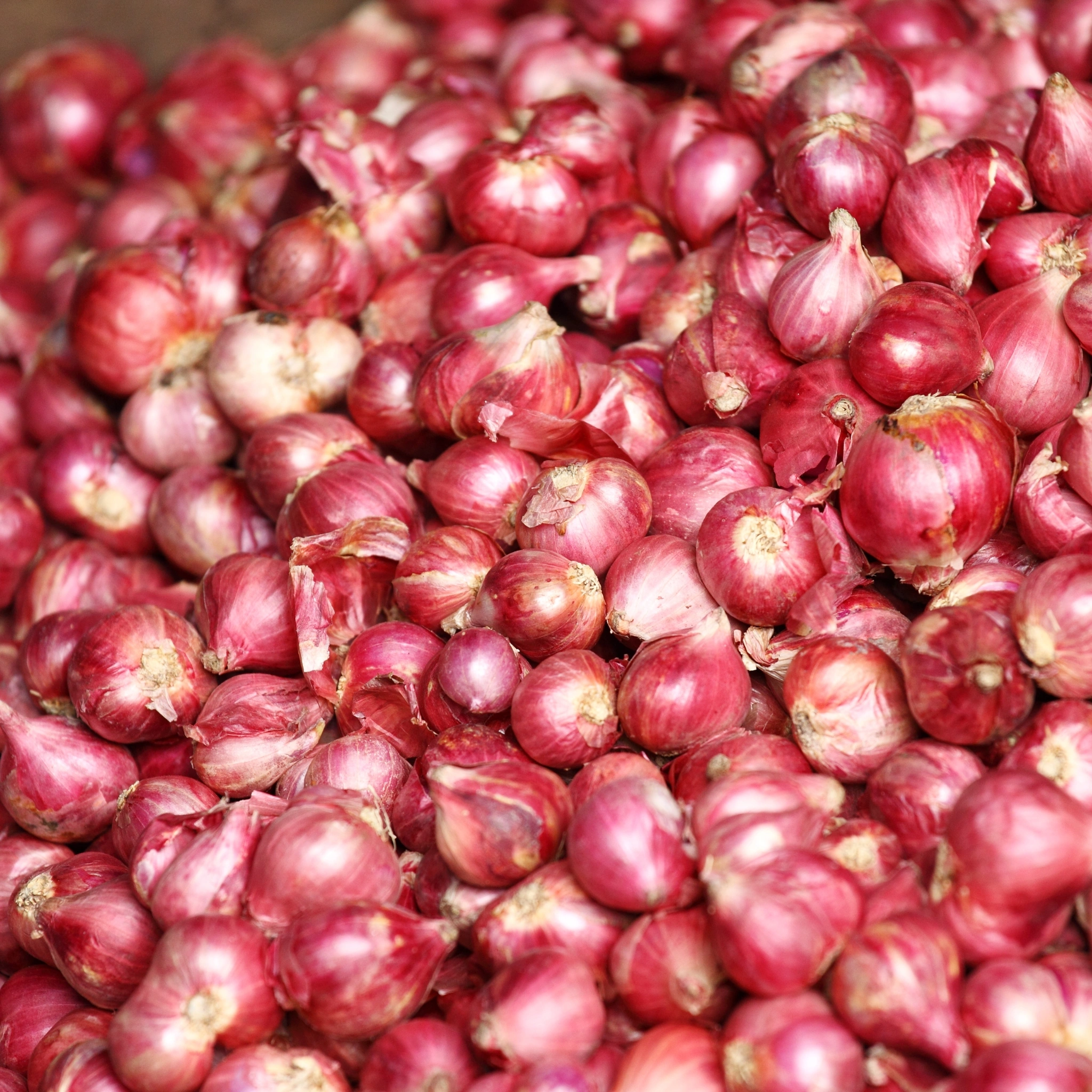 Onion Small/ Sambar Onion - 500g