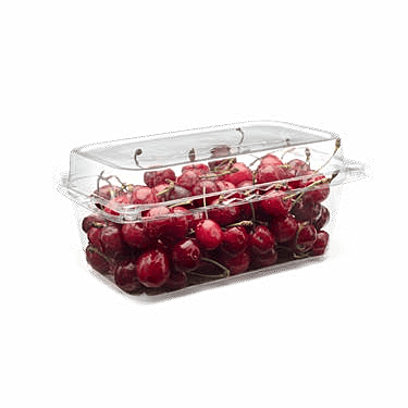 Clamshell Punnets - PNG 500 PL