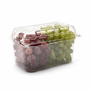 Clamshell Punnets - PNG 501 / 110