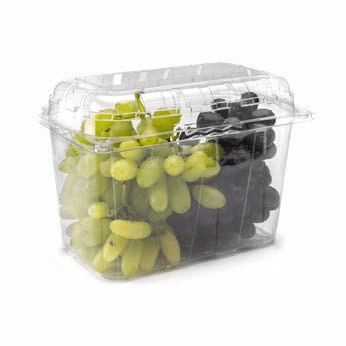 Clamshell Punnets - PNG 501 / 135