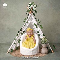 Studio Package (50 Themes)