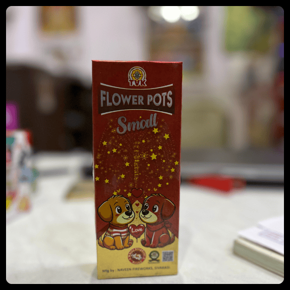 Flower Pots Small (10 Pcs)