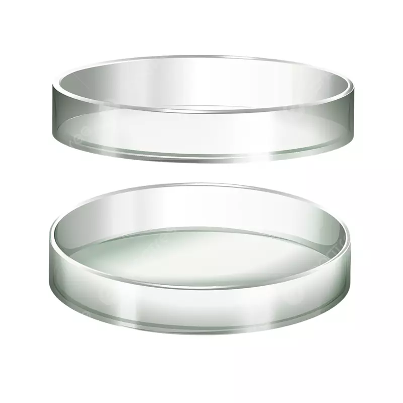 All Types Of Petri Dishes