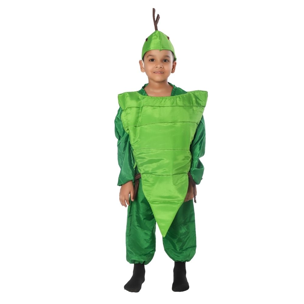 Palak Fancy Dress Costume