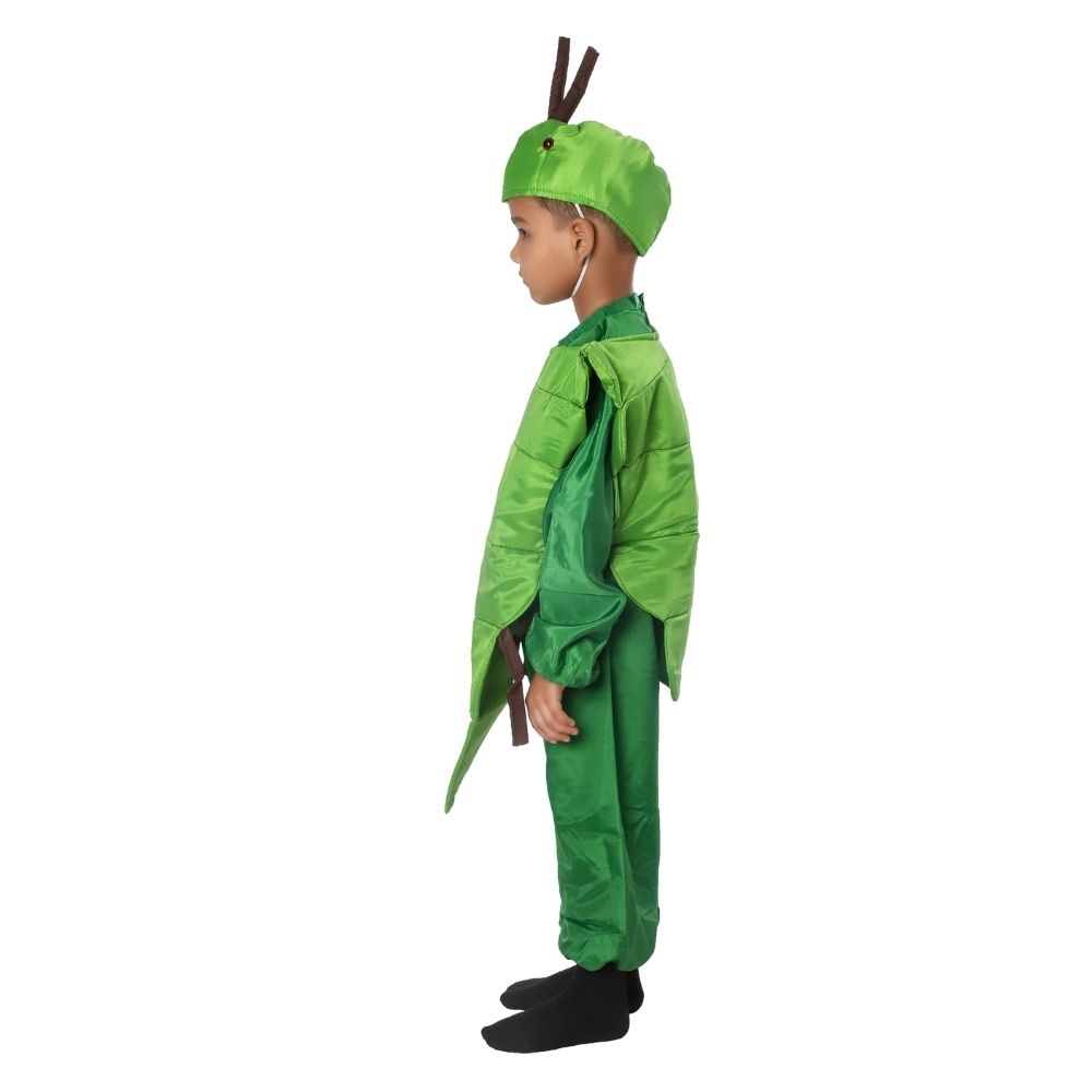 Palak Fancy Dress Costume Palak Fancy Dress Costume