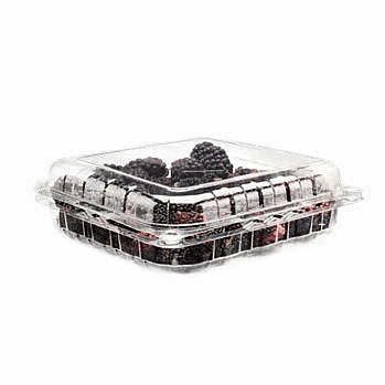Clamshell Punnets - PNG 1500 / 43