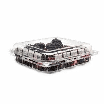 Clamshell Punnets - PNG 1500 / 43