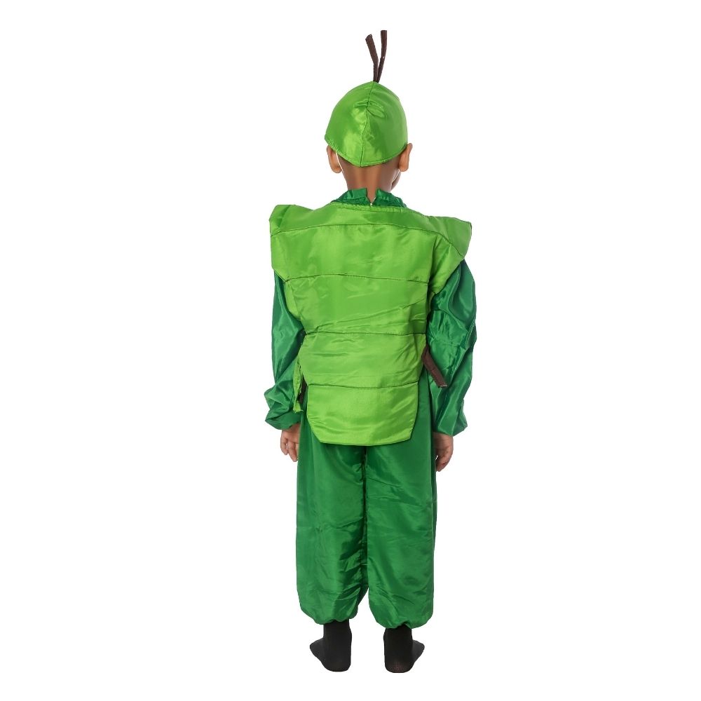 Palak Fancy Dress Costume Palak Fancy Dress Costume