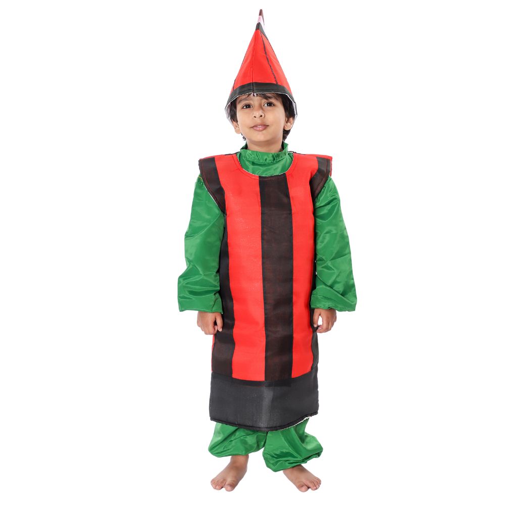 Pencil Fancy Dress Costume