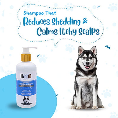 BWB SIBERIAN HUSKY SHAMPOO BWB SIBERIAN HUSKY SHAMPOO
