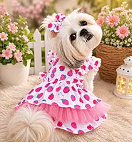 Strawberry Blossom Frock